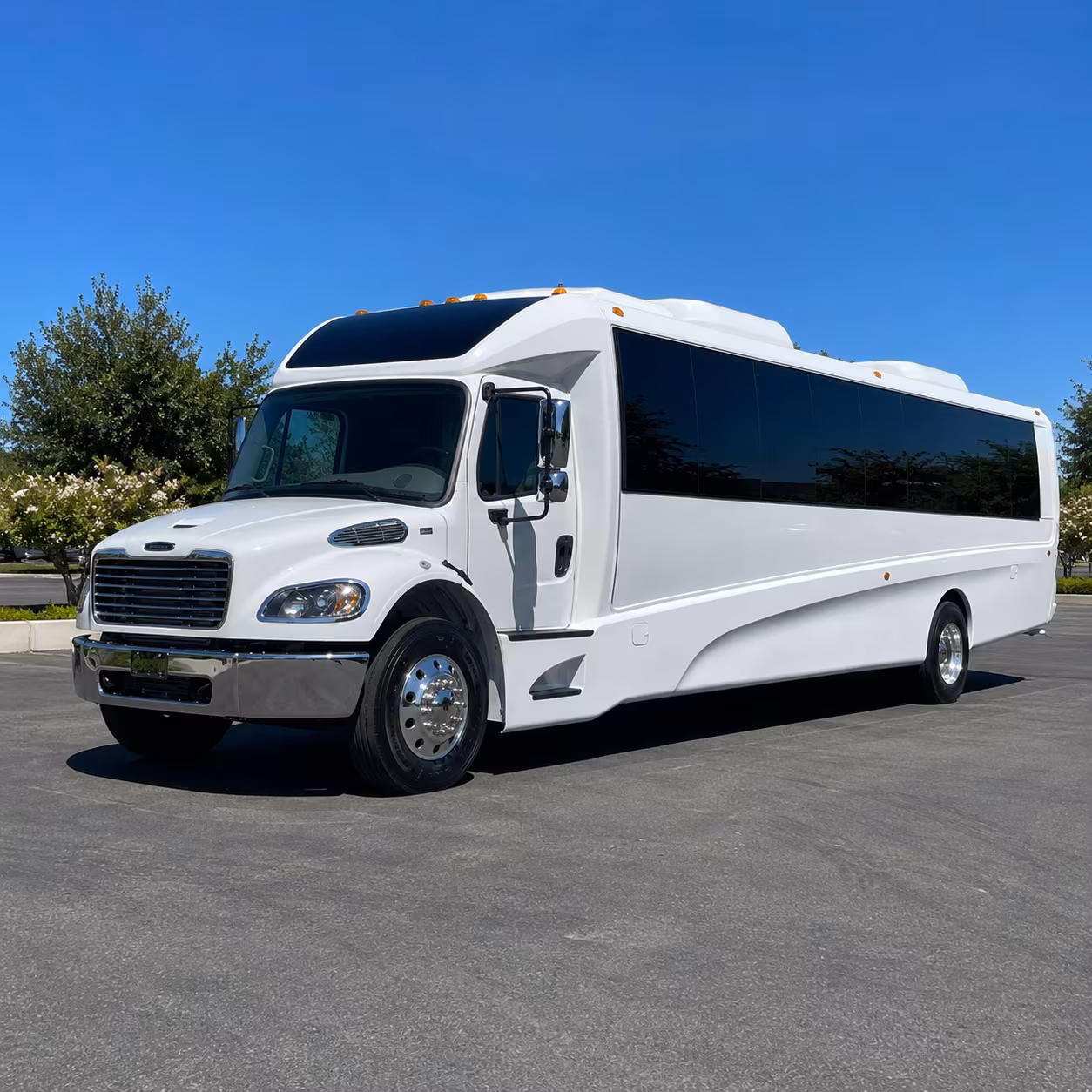 miami beach 20 passenger minibus