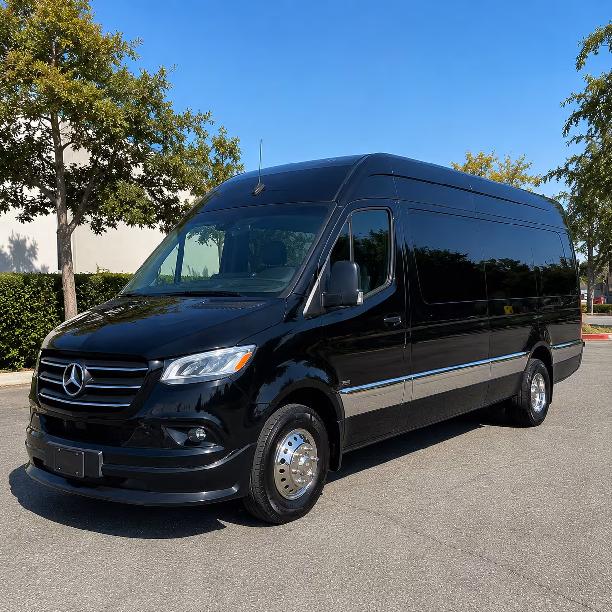 sprinter vans and minibuses for executive transportation in miami beach